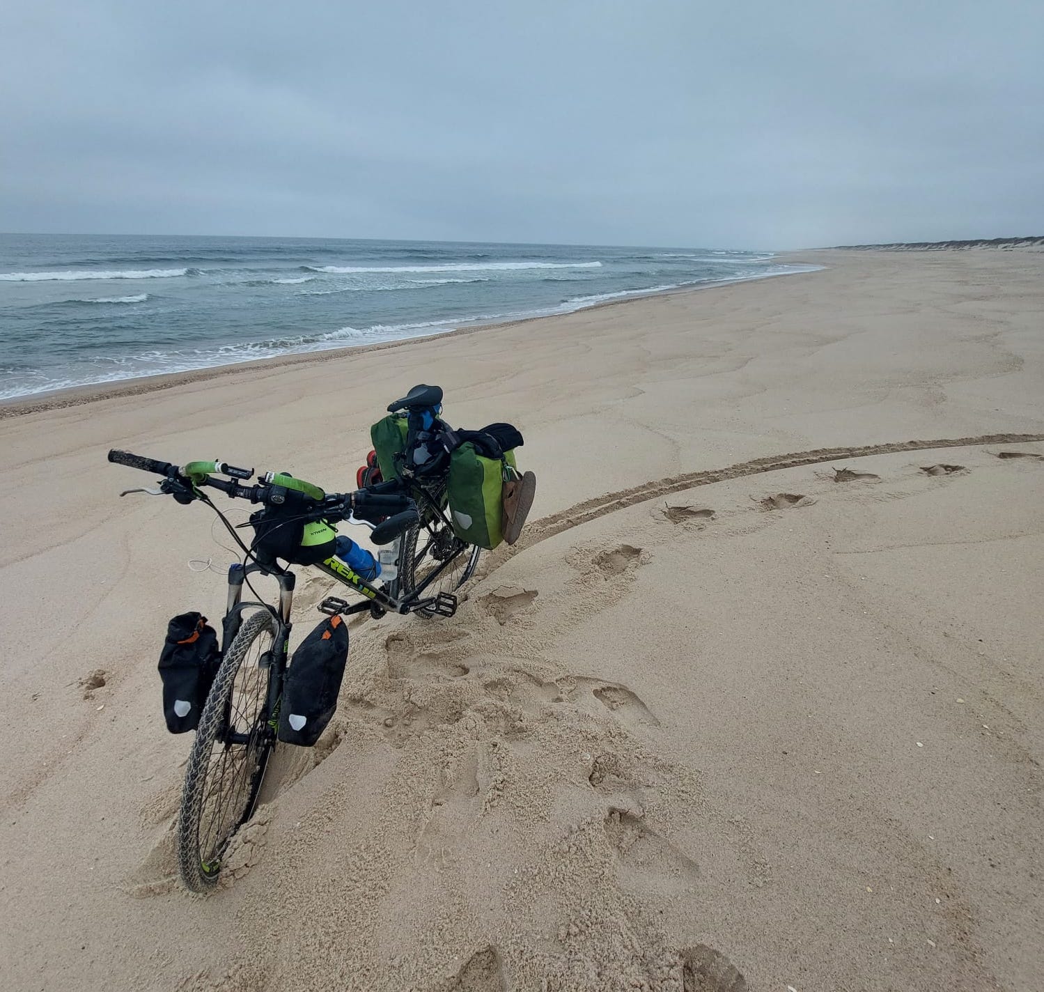 WhatsApp Image 2022-09-15 at 12.31.48